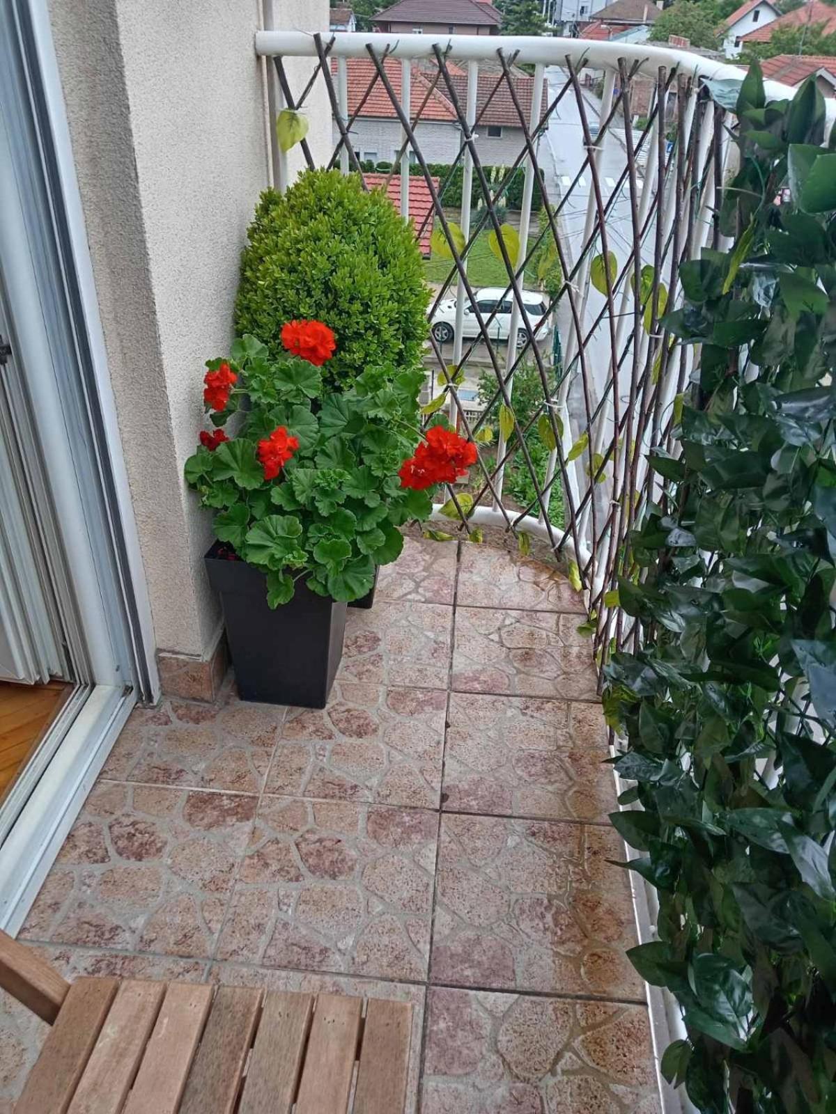 Apartman Centar Požarevac المظهر الخارجي الصورة